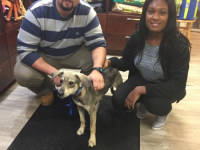 Kevin