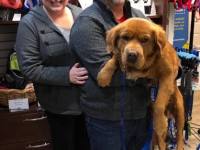 Bear-now-Sam