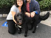 Quest