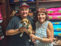 LancelotAdopted