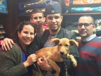 PawleyAdopted