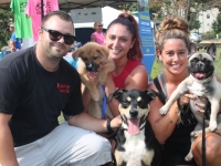 RockyAdopted