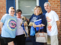 HarryAdopted