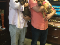 Winston and Flo