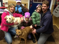 Jackson & Molly-2xadoptor
