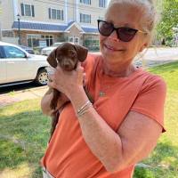 Tootsie