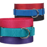 Collars & Leashes