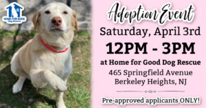 Adoption Event at HFGDR - Pre Approved Applicants ONLY @ Home for Good Dog Rescue