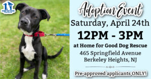 Adoption Event at HFGDR - Approved Applicants ONLY! @ Home for Good Dog Rescue