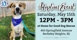Adoption Event at HFGDR! @ Home for Good Dog Rescue