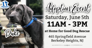 Adoption Event at HFGDR! @ Home for Good Dog Rescue