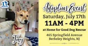 Adoption Event at HFGDR! @ Home for Good Dog Rescue
