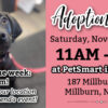 HFGDR Adoption Event ~ PetSmart Millburn!