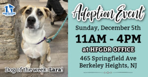 Adoption Event at HFGDR! 🐾 @ Home for Good Dog Rescue