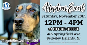 Adoption Event at HFGDR! @ Home for Good Dog Rescue