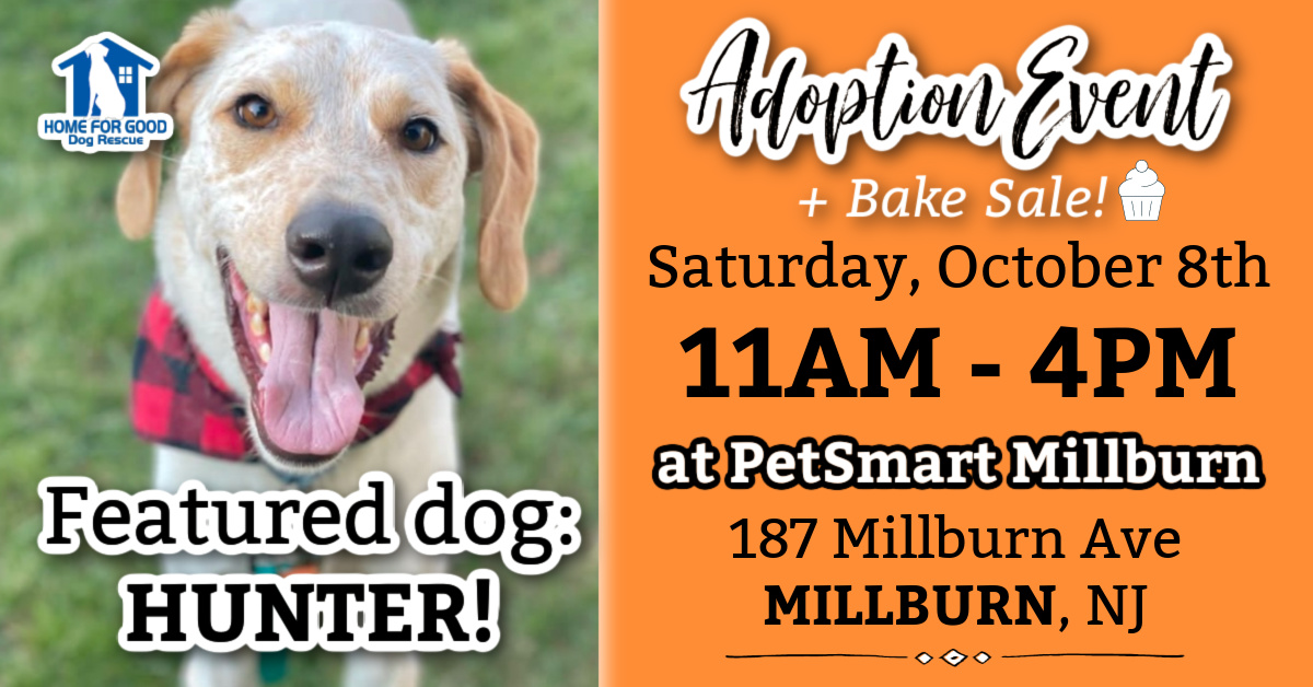 PetSmart Pet Adoption Event Nov. 2-22