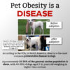 Pet Obesity is a DISEASE! 🚨