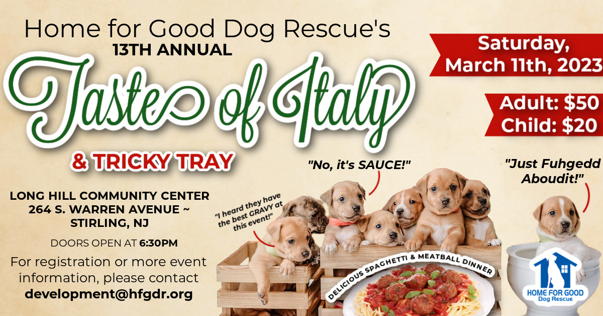 1st Annual Tricky Tray Brunch - North Brunswick Humane Association