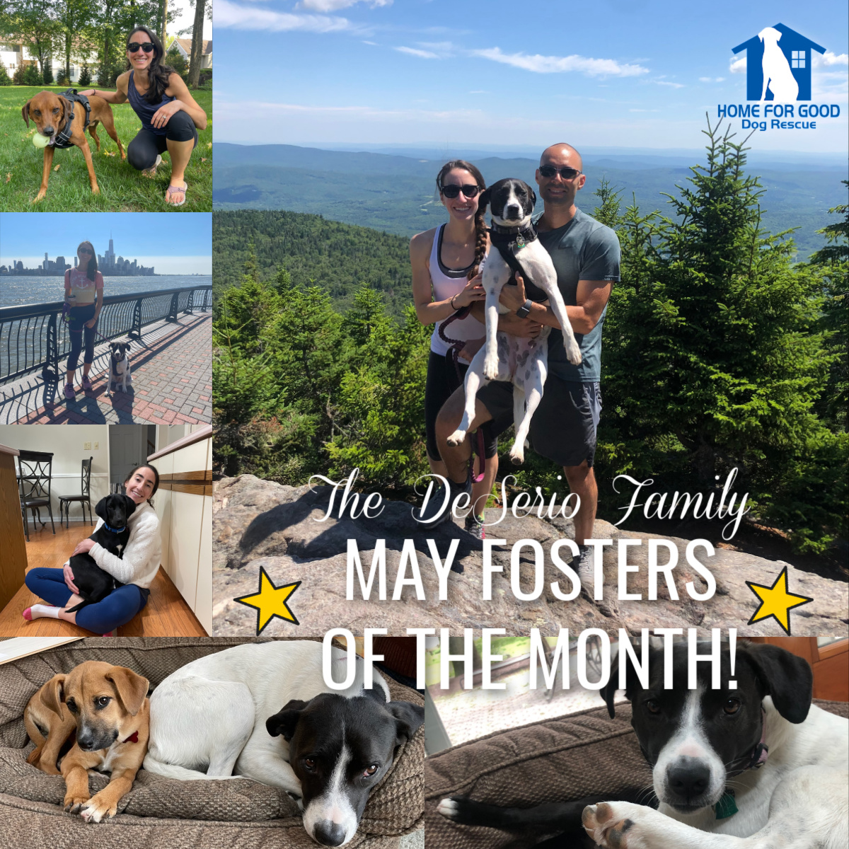 Foster Family of the Month – May 2023! 💛✨