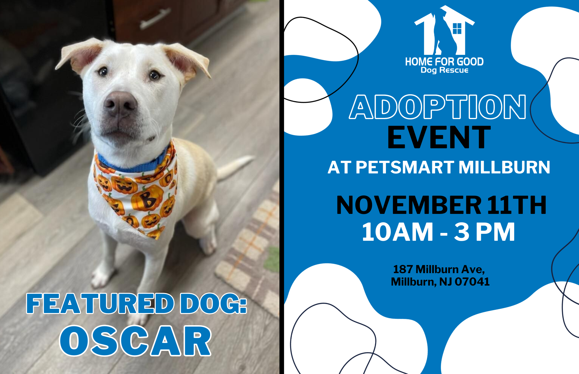 Petsmart animal hot sale adoption events