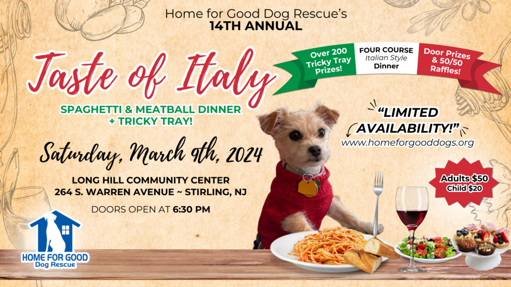 2024 TASTE OF ITALY SPAGHETTI & MEATBALL DINNER + TRICKY TRAY! 🇮🇹