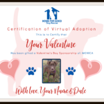 Valentine’s Day Virtual Adoption 💖