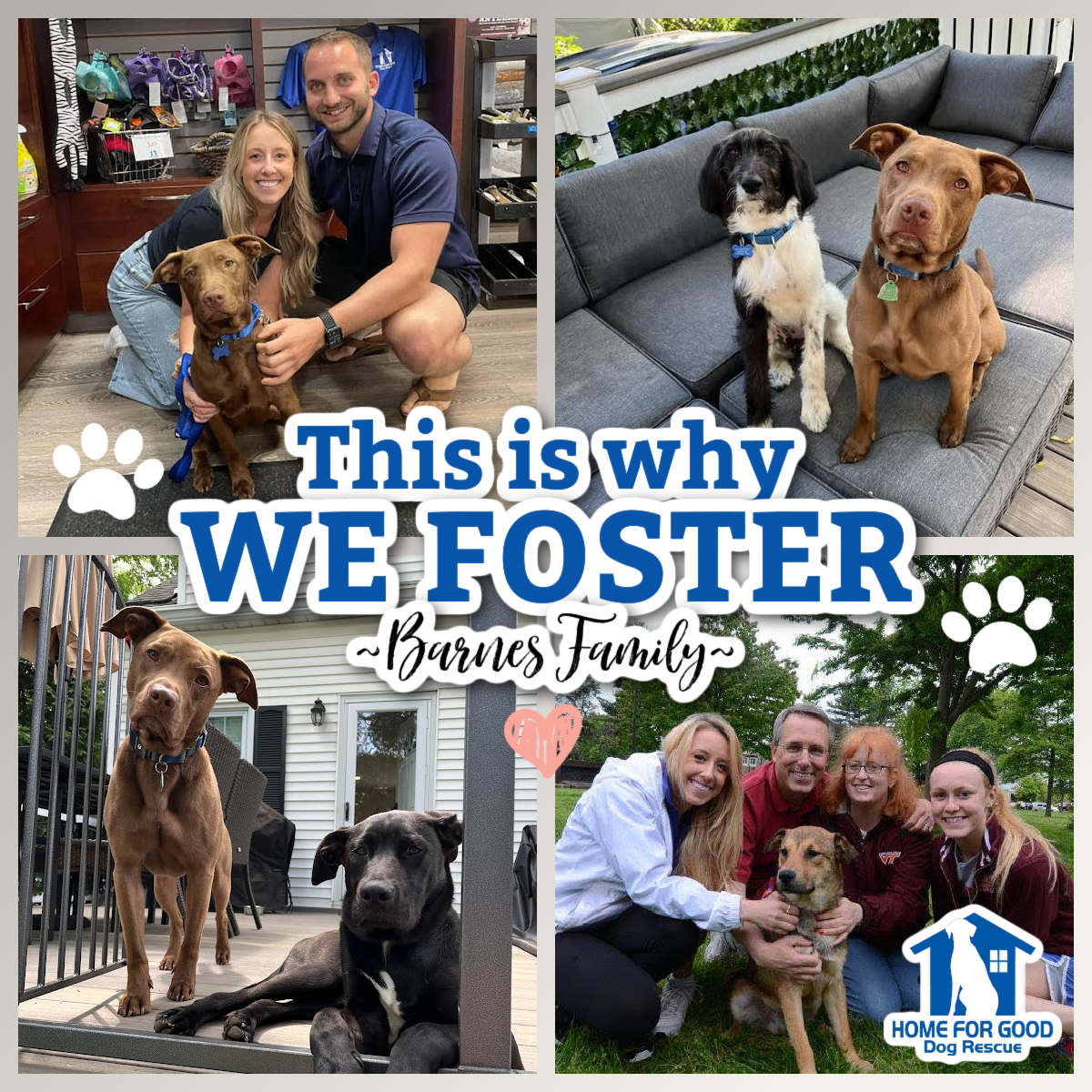 Why We Foster: The Barnes’ Family Story!💙🐾