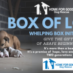 BOX OF LOVE: A Mission to Save Lives
