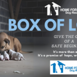 BOX OF LOVE: A Mission to Save Lives