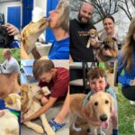 June Is National Foster a Pet Month — Join the Movement