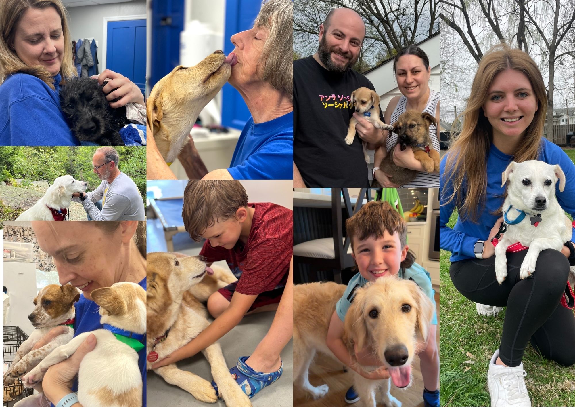 June Is National Foster a Pet Month — Join the Movement