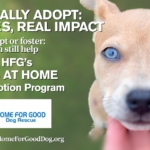 Hearts at Home: Virtual Adoption: Real Lives, Real Impact