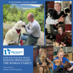 FOSTERING SAVES LIVES: A HFG Foster Family Spotlight