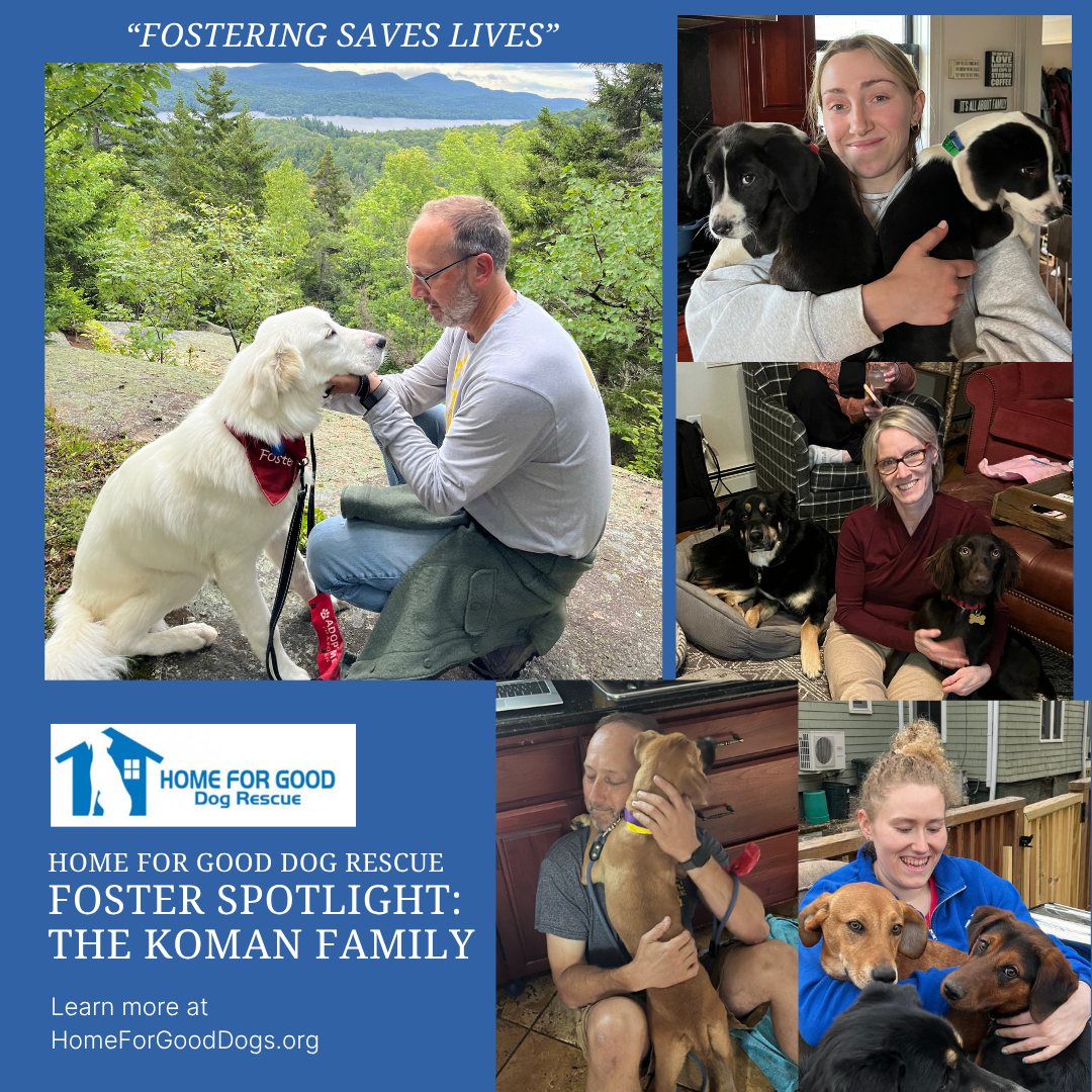 FOSTERING SAVES LIVES: A HFG Foster Family Spotlight