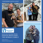 FOSTERING SAVES LIVES: A HFG Foster Family Spotlight