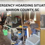 EMERGENCY RESCUE FUNDRAISER: From Suffering to Safety, 16 Dogs Need You Now