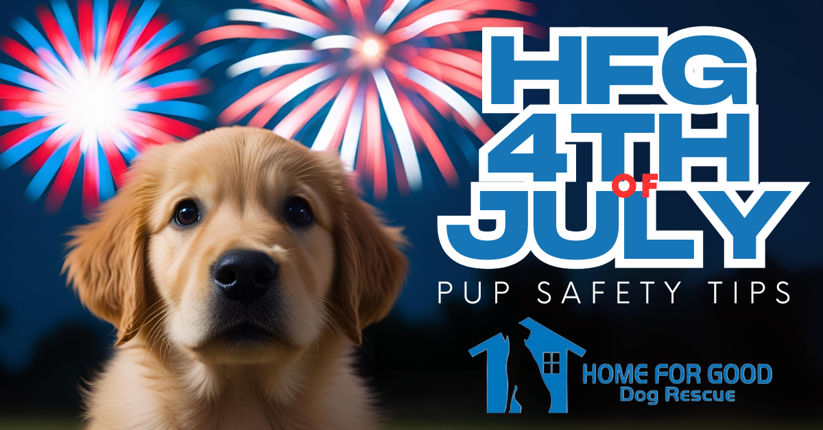 4th of July Dog Safety Tips from Home For Good Dog Rescue