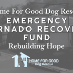 🚨EMERGENCY TORNADO RECOVERY FUND