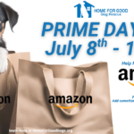Make a Difference This Prime Day: Shop Our Amazon Wish List