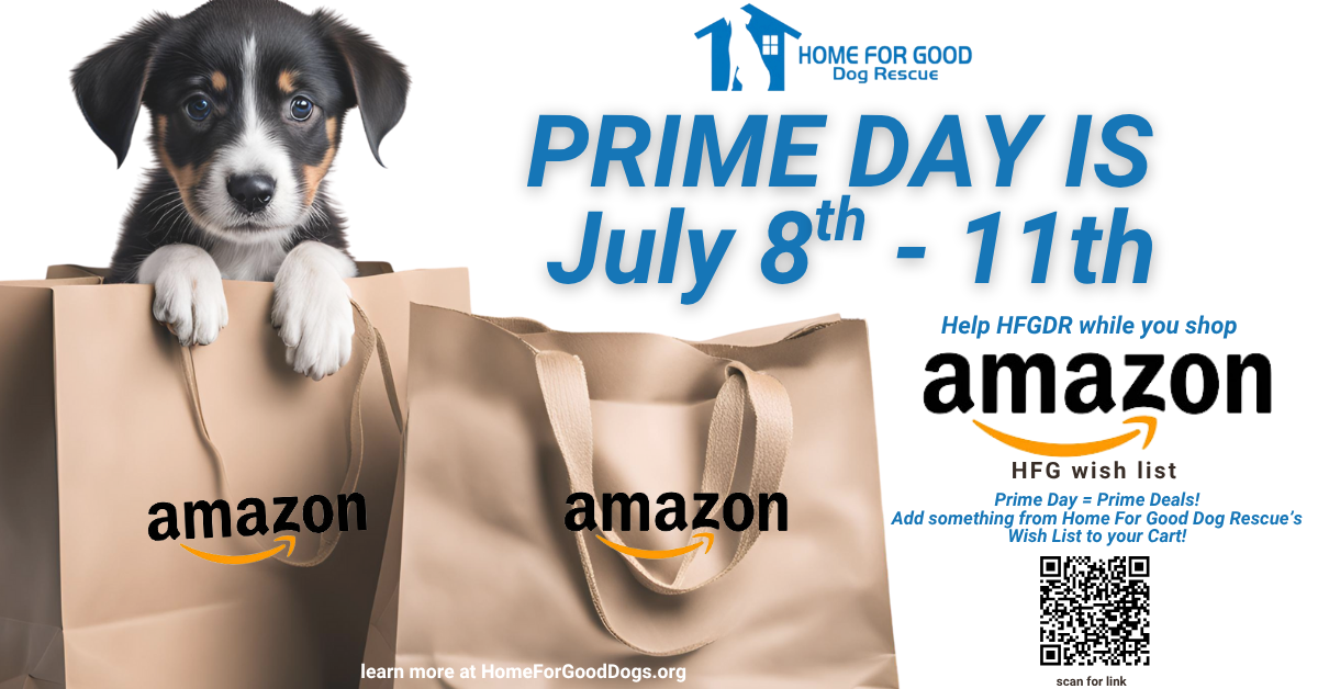 Make a Difference This Prime Day: Shop Our Amazon Wish List