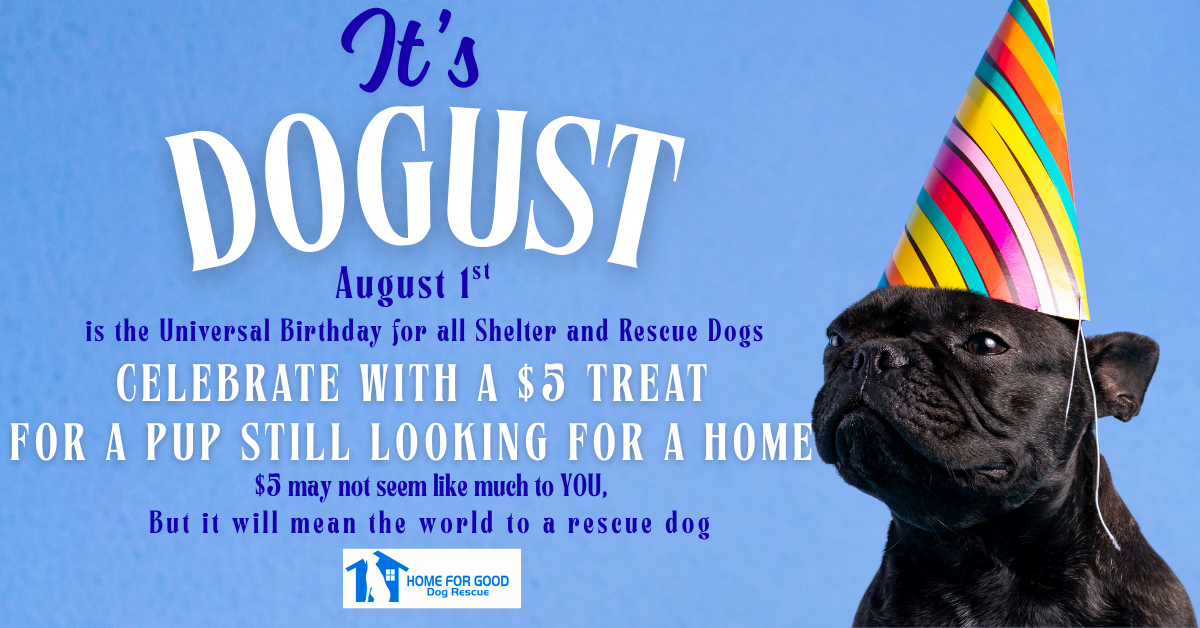 DOGust Celebration: How You Can Help Rescue Dogs with a $5 Treat This August