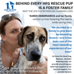 Home for Good Foster Spotlight: Meet Karen DeBernardis and Her Family