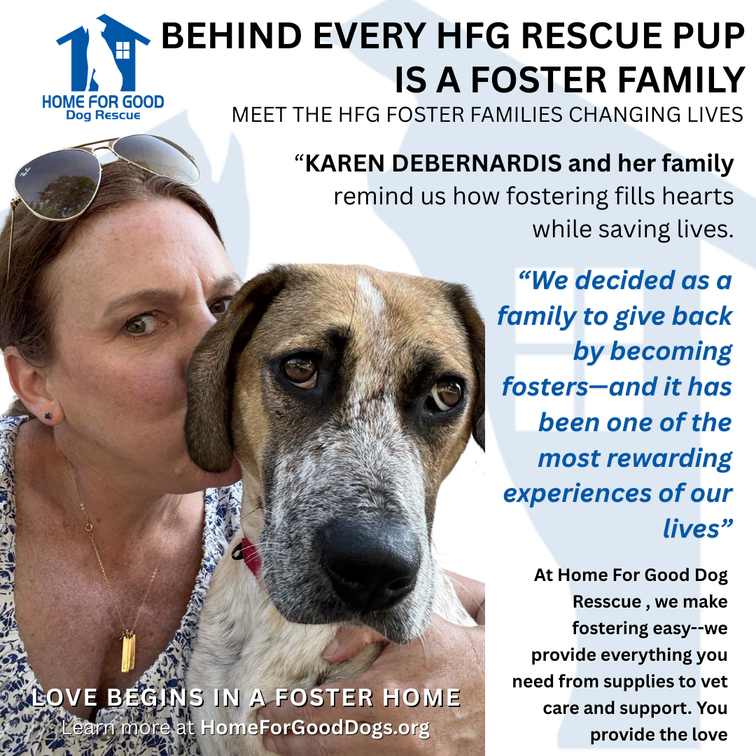 Home for Good Foster Spotlight: Meet Karen DeBernardis and Her Family