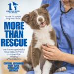 Solving the Shelter Capacity Crisis with Affordable Pet Care in Aiken
