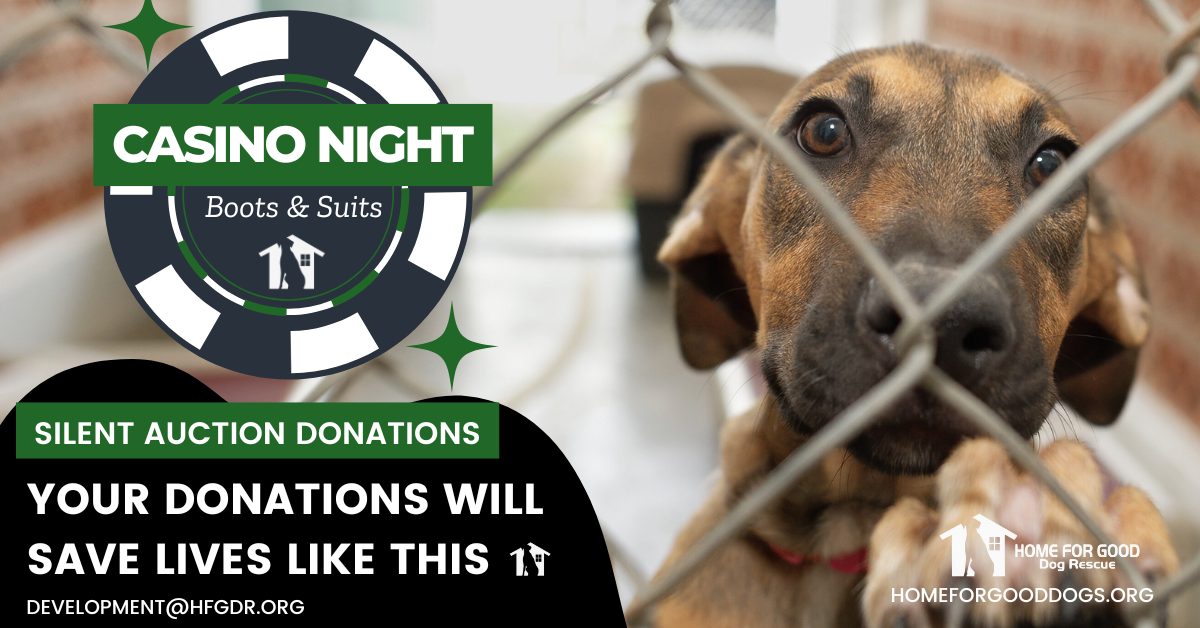 Donate to Casino Night 2025 Boots & Suits Silent Auction
