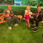 Home for Good Dog Rescue pups on LIVE with Kelly & Mark
