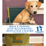 A Stranger’s Gift of Kindness Changes Lives at Home for Good Dog Rescue