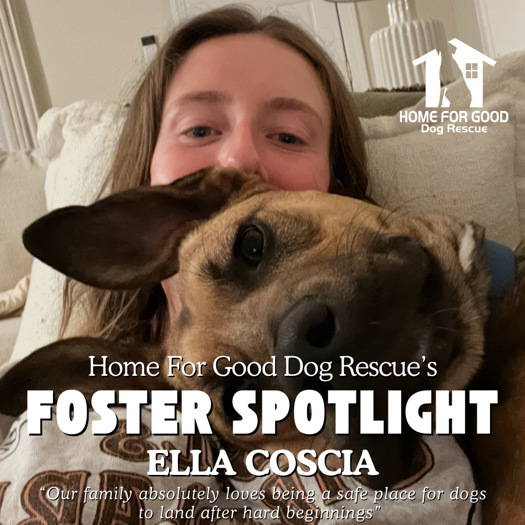 Foster Spotlight: Ella Coscia