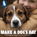 Home for Good Dog Rescue Celebrates Make a Dog’s Day