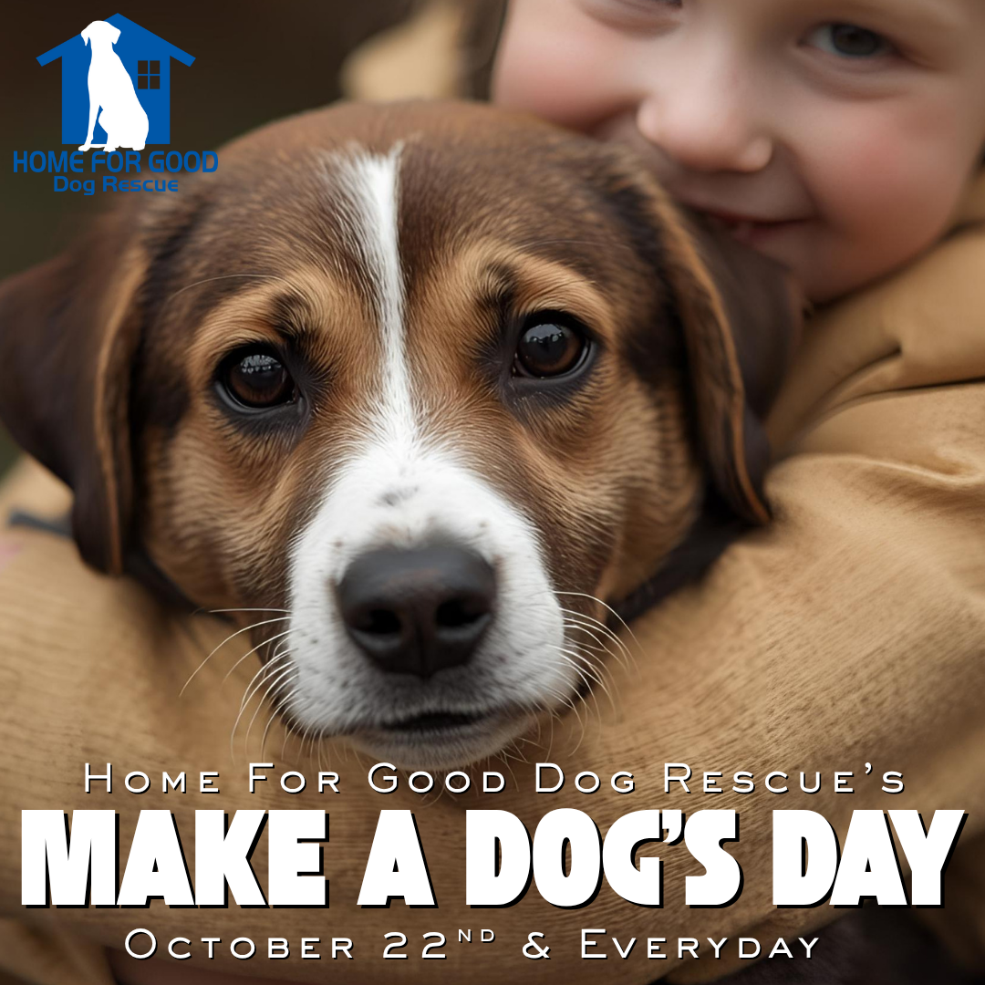 Home for Good Dog Rescue Celebrates Make a Dog’s Day